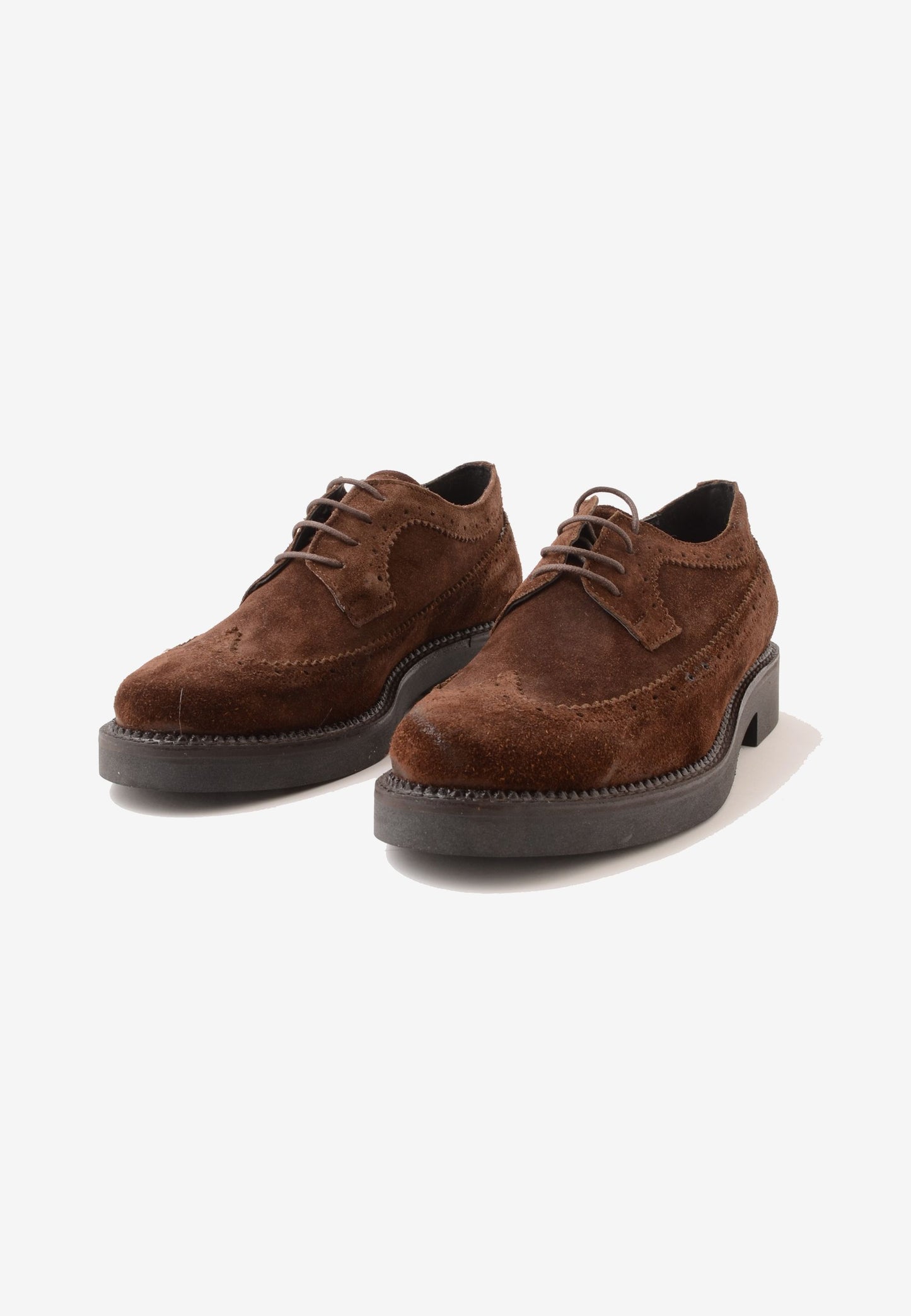 DIVINE FOLLIE - Scarpe Stringate Coda Di Rondine Moro
