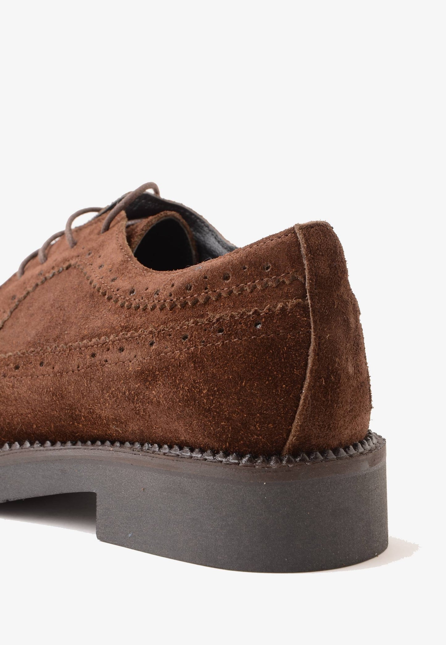 DIVINE FOLLIE - Scarpe Stringate Coda Di Rondine Moro