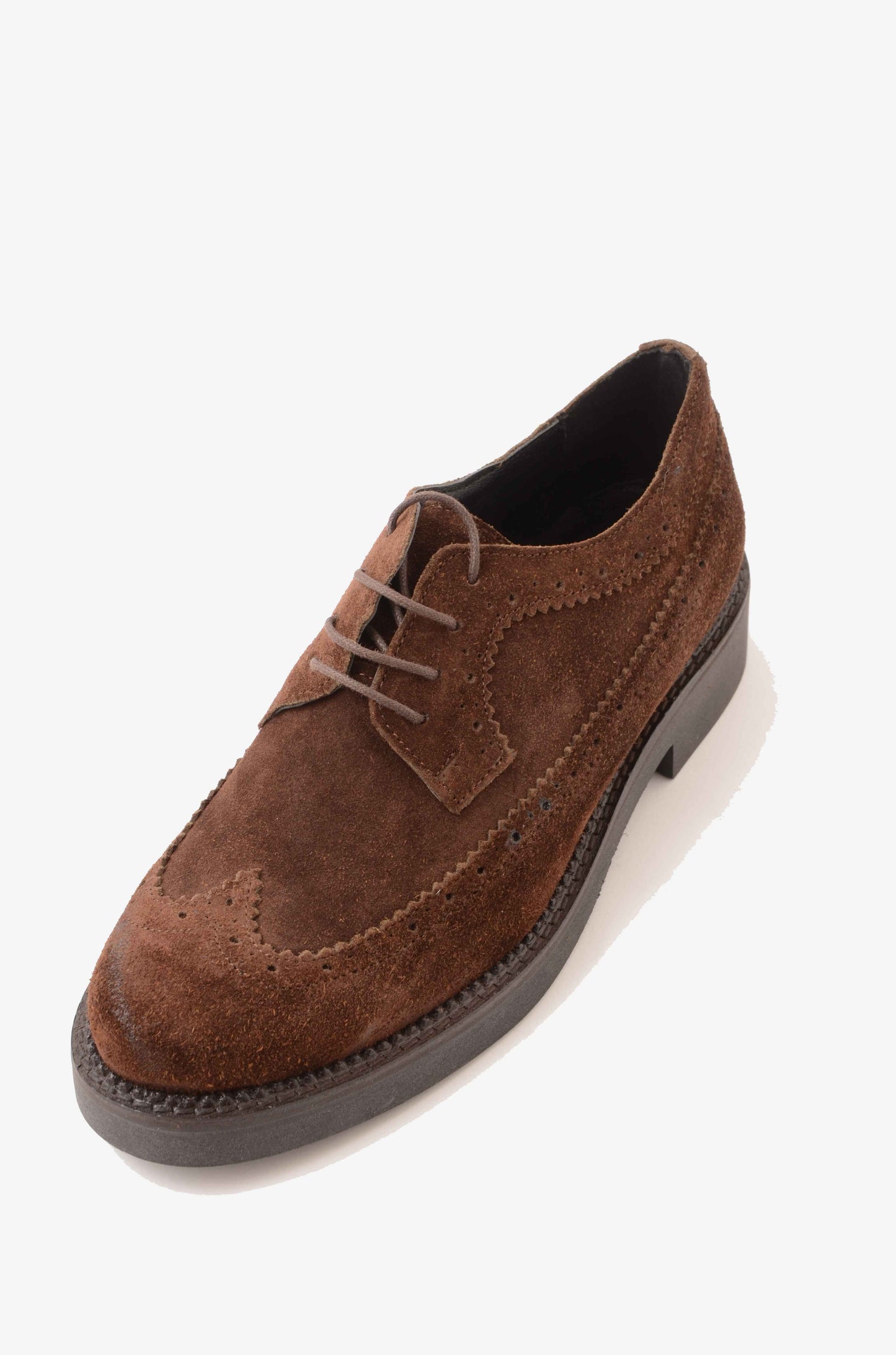 DIVINE FOLLIE - Scarpe Stringate Coda Di Rondine Moro