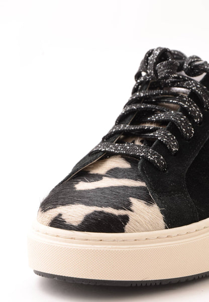 DIVINE FOLLIE - Sneakers Camoscio Muccato Nero